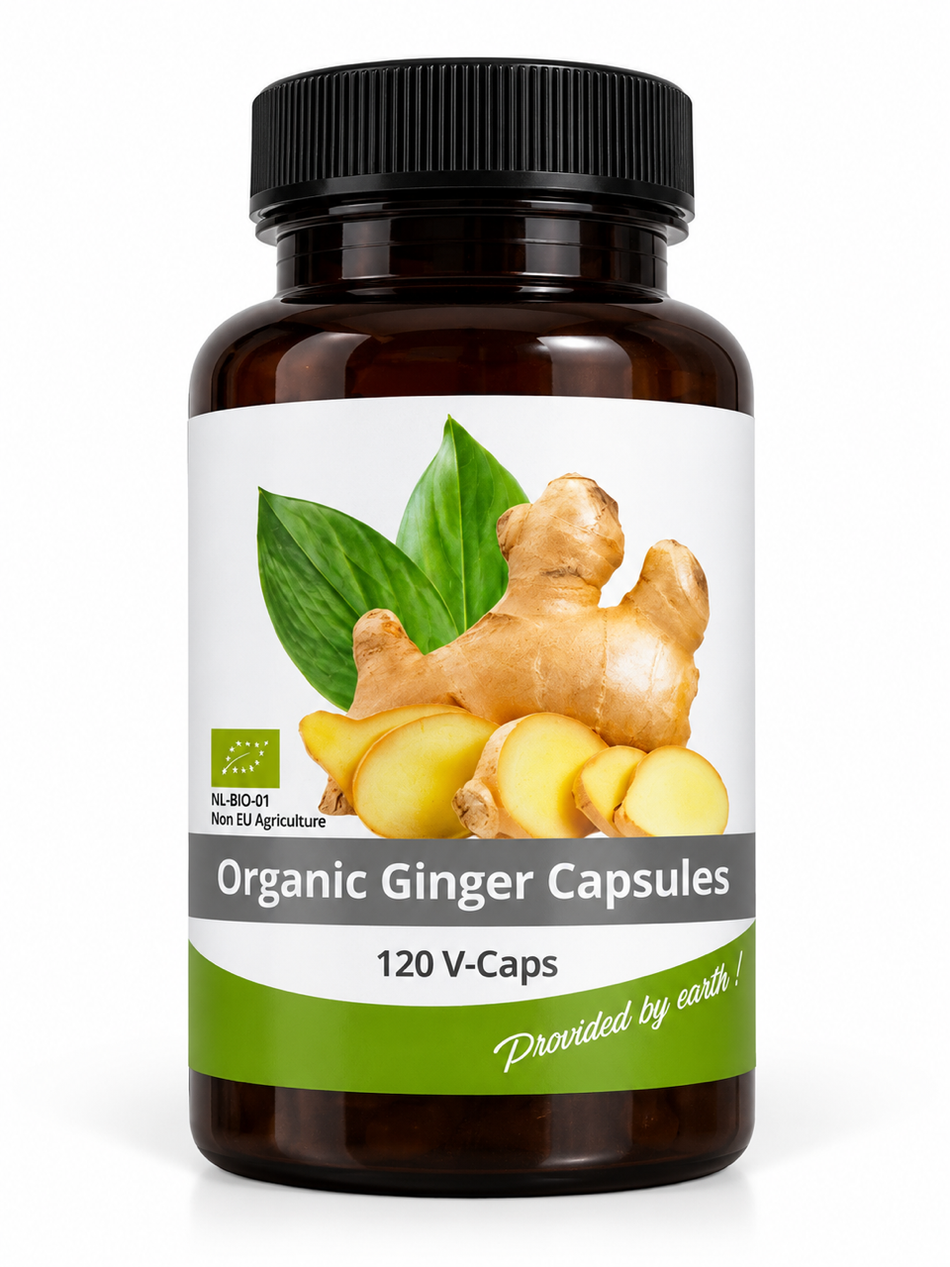 Gingembre Bio 500 mg – 120 Gélules Végétales | Nutrition & Bien-être